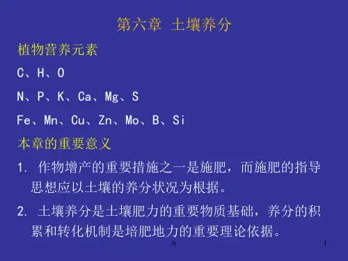 土壤学课件Ch6养分