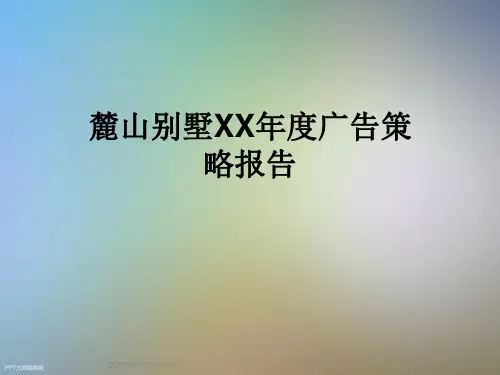 麓山别墅XX年度广告策略报告
