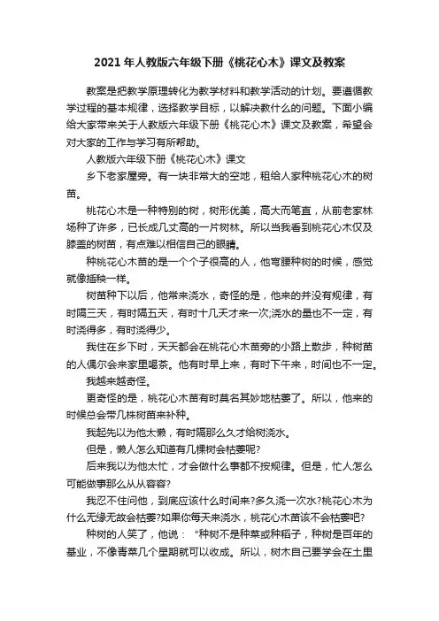 2021年人教版六年级下册《桃花心木》课文及教案