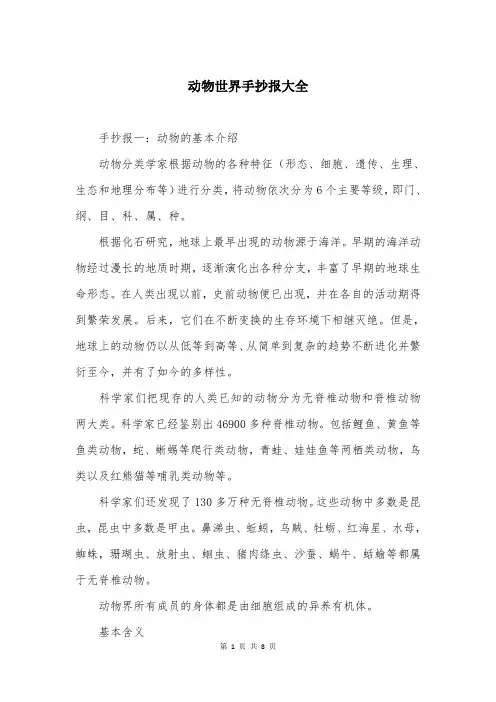 动物世界手抄报大全