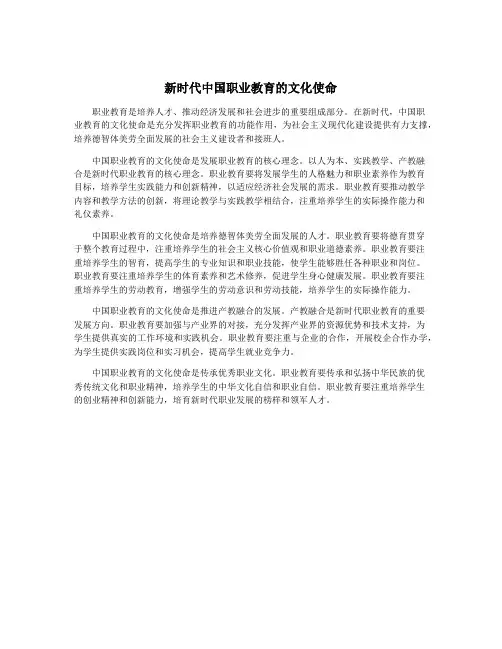 新时代中国职业教育的文化使命