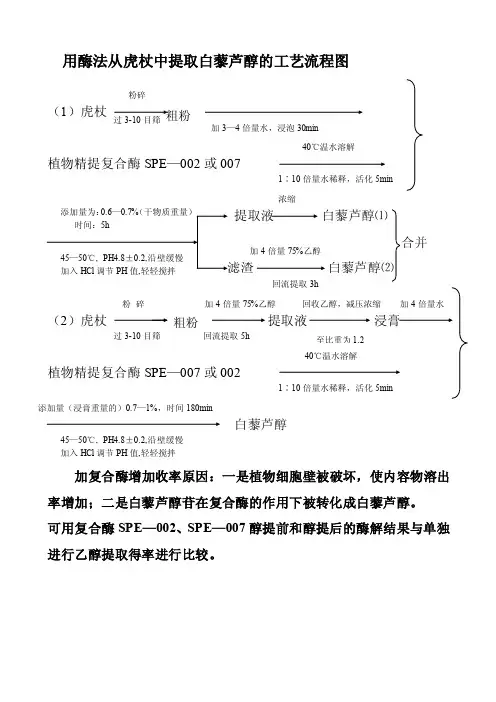酶提法提取工艺