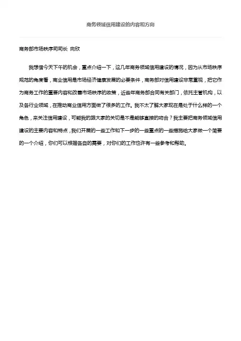 商务部向欣司长发言
