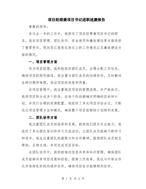 项目经理兼项目书记述职述廉报告