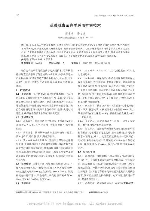 草莓脱毒苗春季避雨扩繁技术