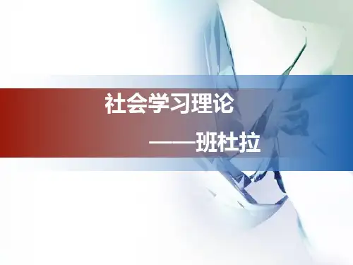 社会学习理论