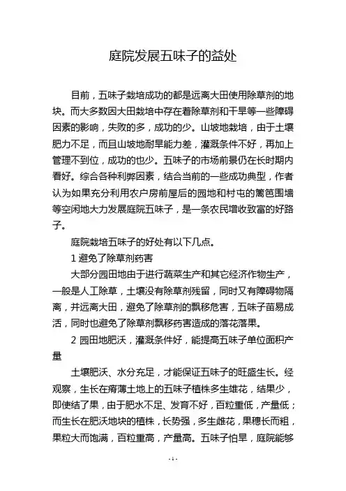 庭院发展五味子的益处
