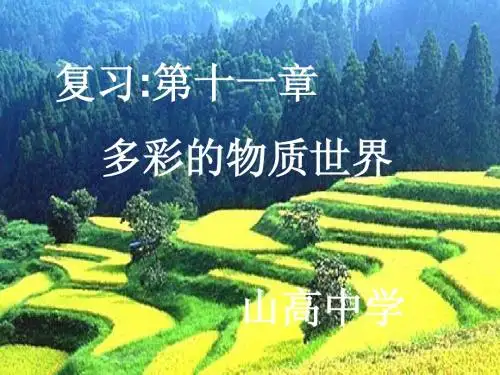 第十一章多彩的物质世界复习