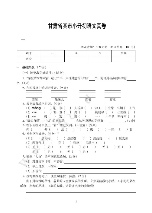 小学第一资料：甘肃省某市小升初语文真卷