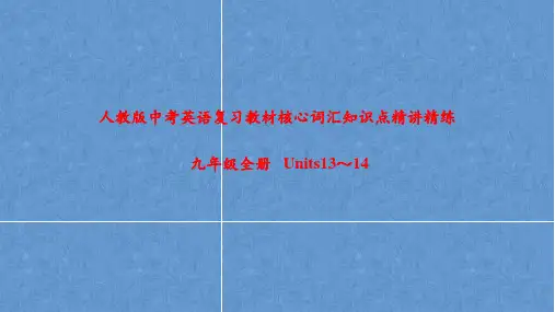 人教版中考英语复习教材核心词汇知识点精讲精练九年级全册Unit13-Unit14