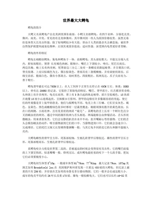 世界最大大鳄龟