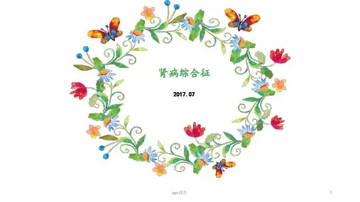 肾病综合征  ppt课件