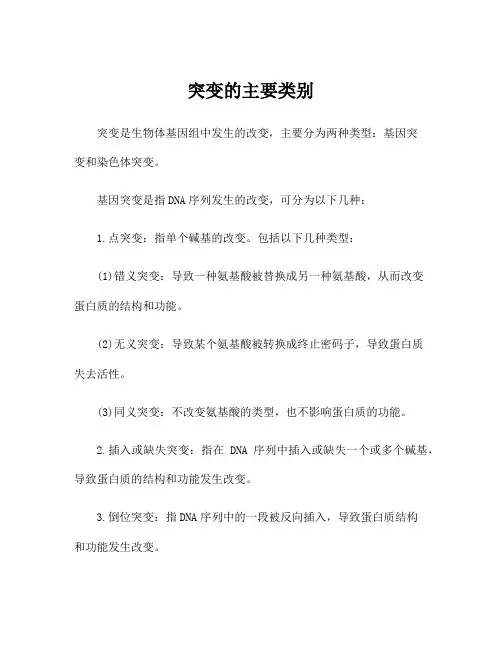 突变的主要类别