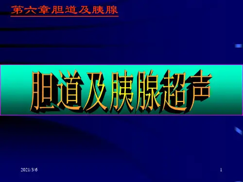 超 声 诊 断 学PPT课件