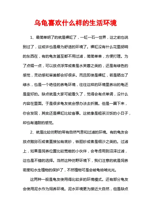 乌龟喜欢什么样的生活环境
