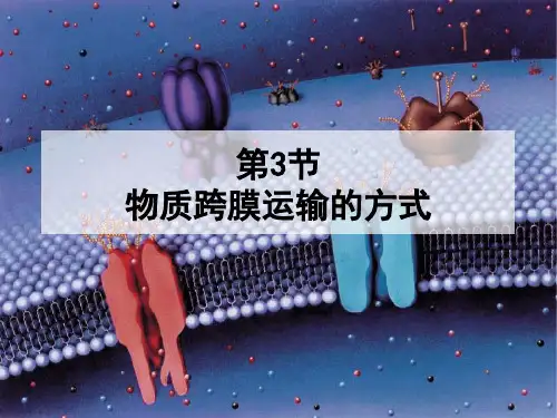 新版人教生物第 物质跨膜运输的方式(共24张PPT)学习演示PPT课件