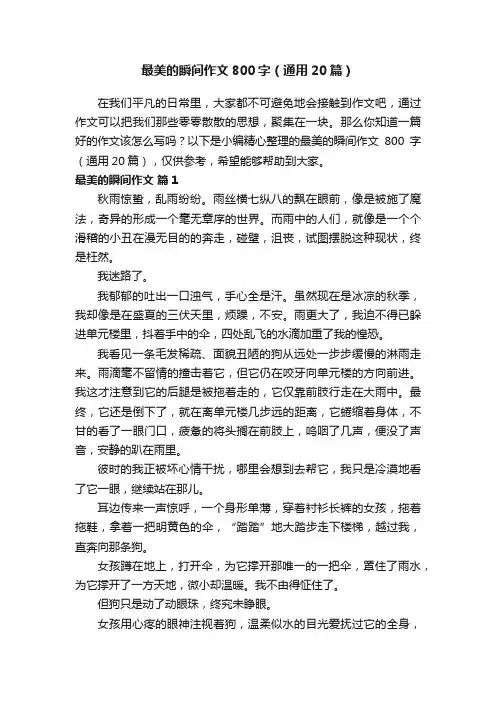 最美的瞬间作文800字（通用20篇）