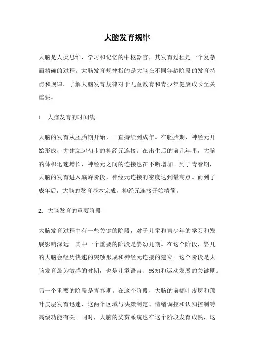 大脑发育规律