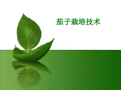 茄子栽培.ppt