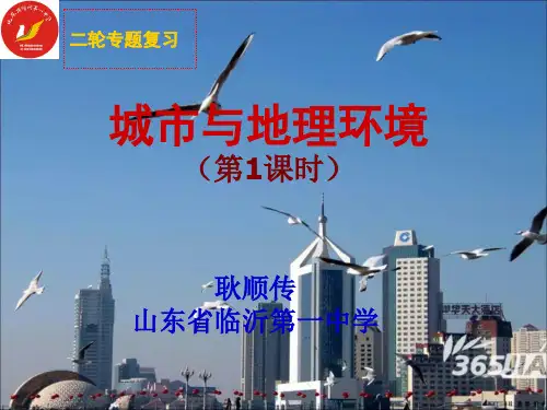 山东省公开课——城市与地理环境