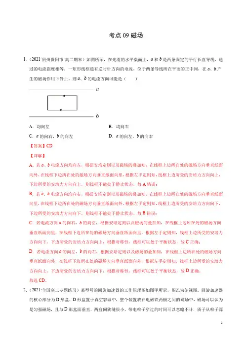 考点09磁场(解析版)-2021届高三《新题速递·物理》2月刊(高考复习)