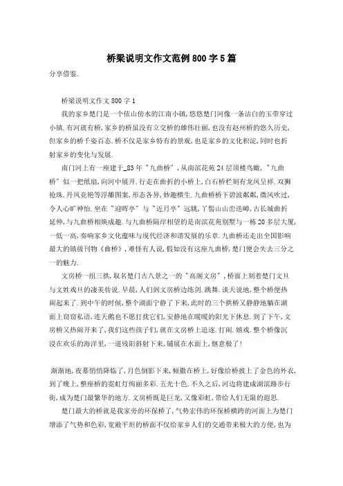 桥梁说明文作文范例800字5篇