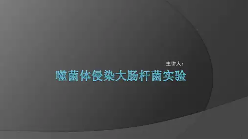 噬菌体侵染大肠杆菌实验ppt课件