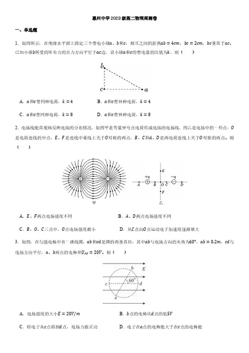 2024-2025年惠州中学上学期高二物理周测卷