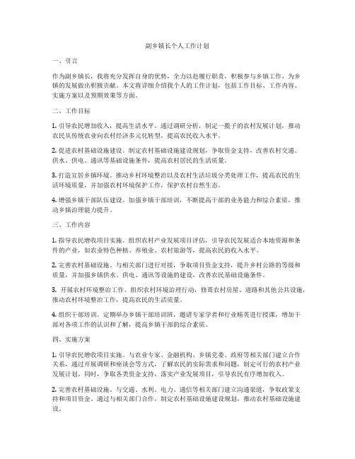 副乡镇长个人工作计划