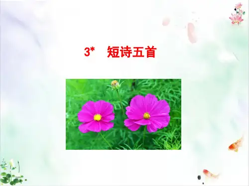 《短诗五首》ppt优秀版