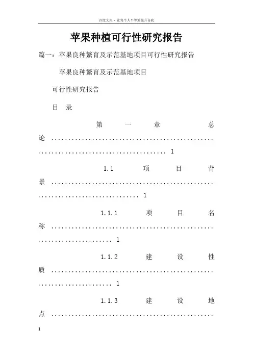 苹果种植可行性研究报告