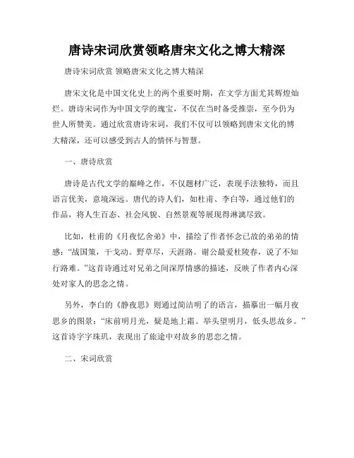 唐诗宋词欣赏领略唐宋文化之博大精深