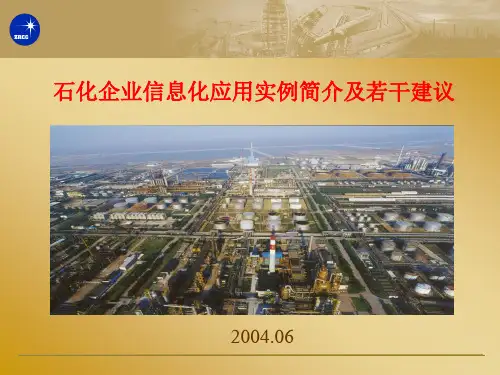 石化企业信息化应用实例简介及若干建议