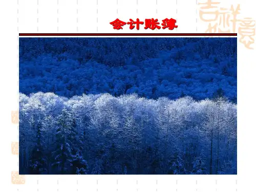 会计学基础课件：会计账簿