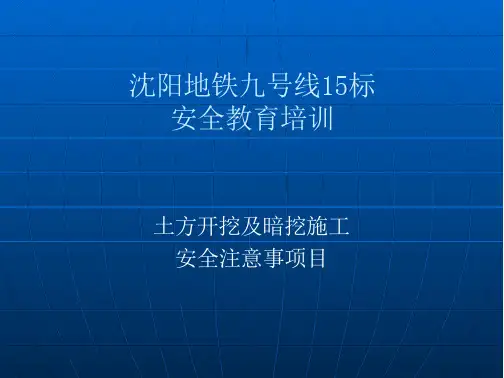 沈阳地铁九号线解析免费全文阅读