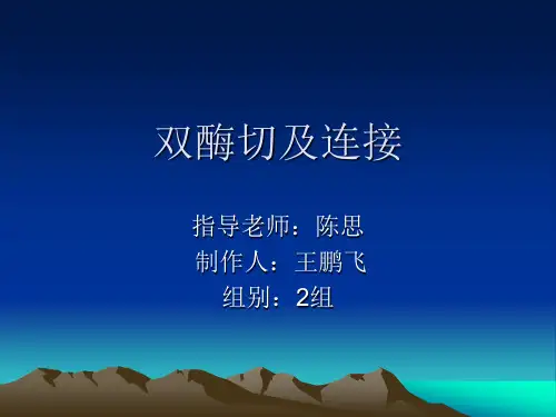 双酶切及连接