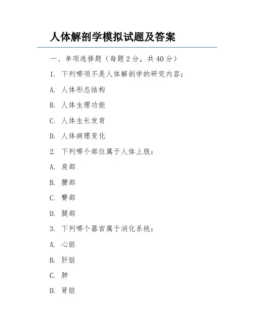 人体解剖学模拟试题及答案