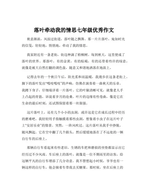 落叶牵动我的情思七年级优秀作文