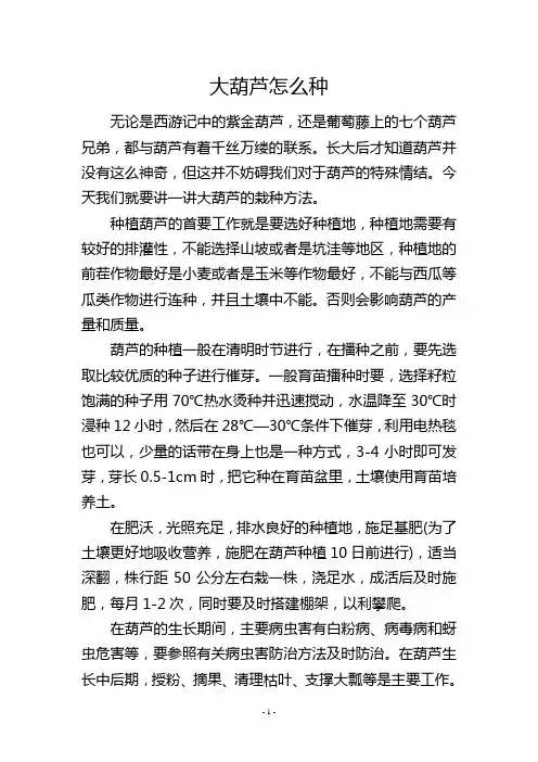 大葫芦怎么种