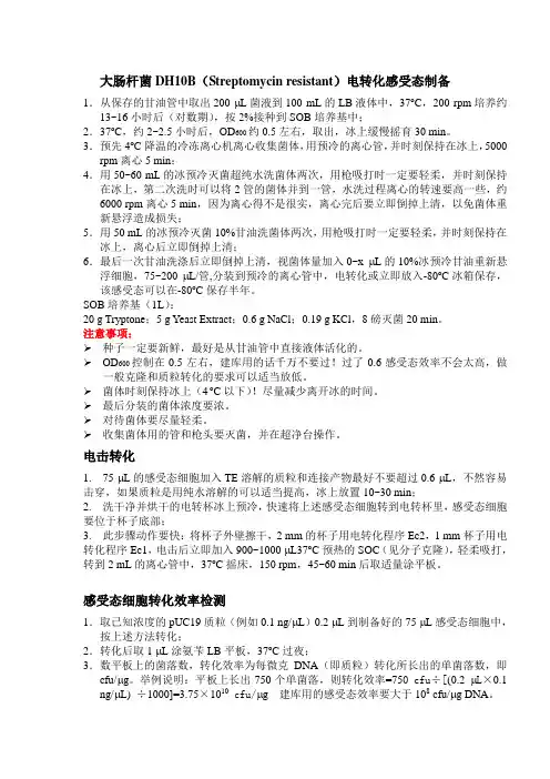 大肠杆菌菌株感受态制备_电击转化及转化效率检测