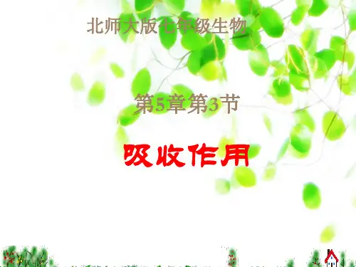 吸收作用课件北师大版