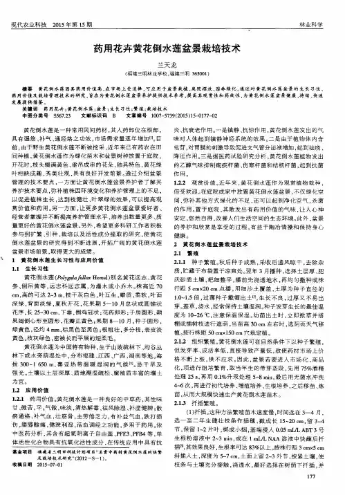 药用花卉黄花倒水莲盆景栽培技术