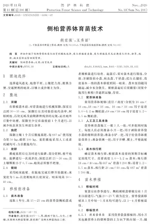 侧柏营养钵育苗技术