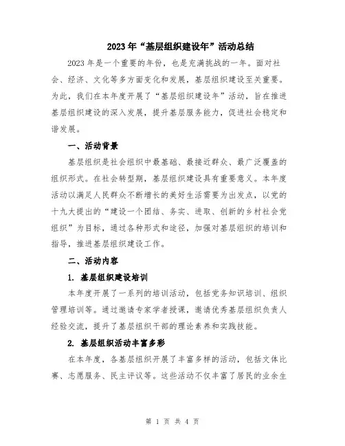 2023年“基层组织建设年”活动总结