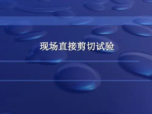现场岩土体直剪试验