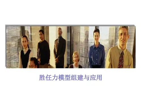 胜任力模型构建与应用(ppt文档)