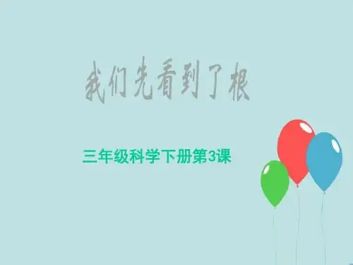 三年级下册科学优质课件-1.3我们先看到了根-教科版(三起)
