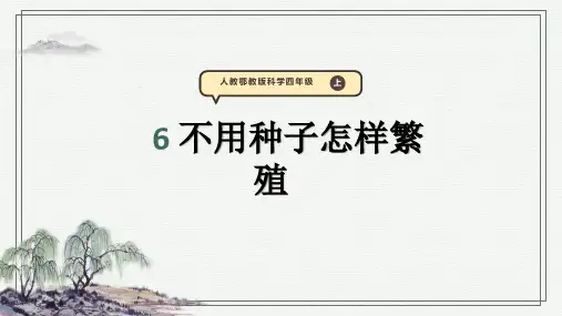 不用种子怎样繁殖 课件(26张PPT)