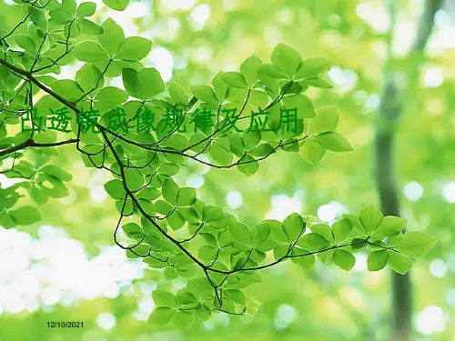 中考物理复习 凸透镜成像的规律及应用物理课件