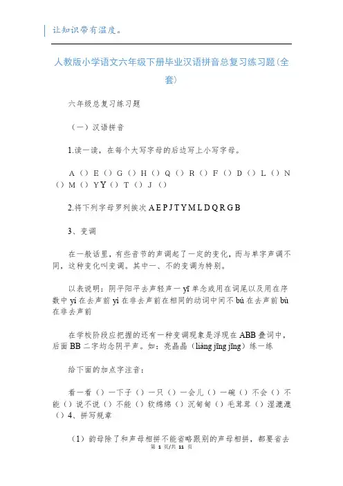 人教版小学语文六年级下册毕业汉语拼音总复习练习题(全套)
